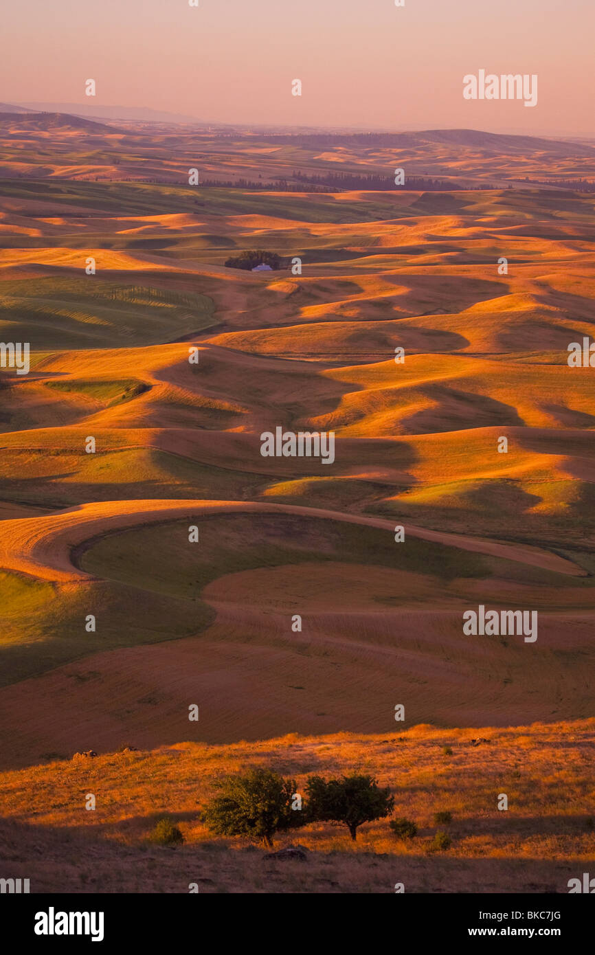Hilly landscape at sunset hi-res stock photography and images - Alamy