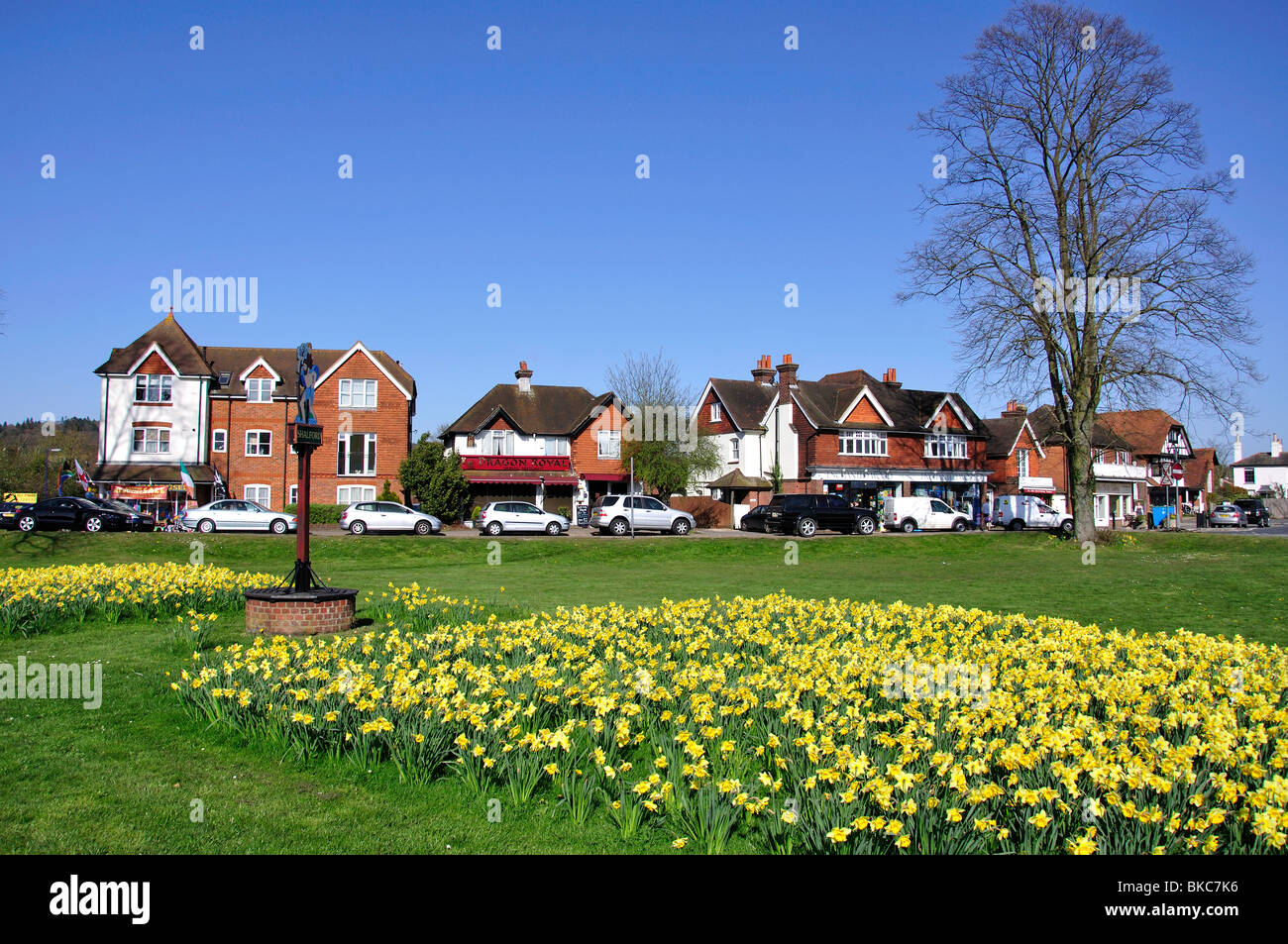 Village sign with daffodils, The Green, Shalford, Surrey, England, United Kingdom Stock Photo