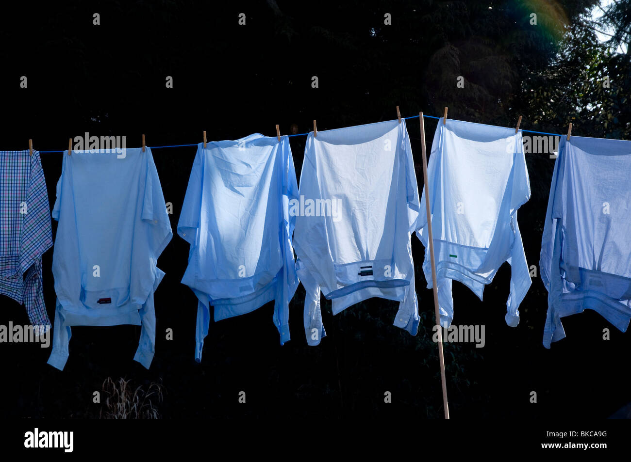 Shirts hung out to dry on the washing line. Stock Photo
