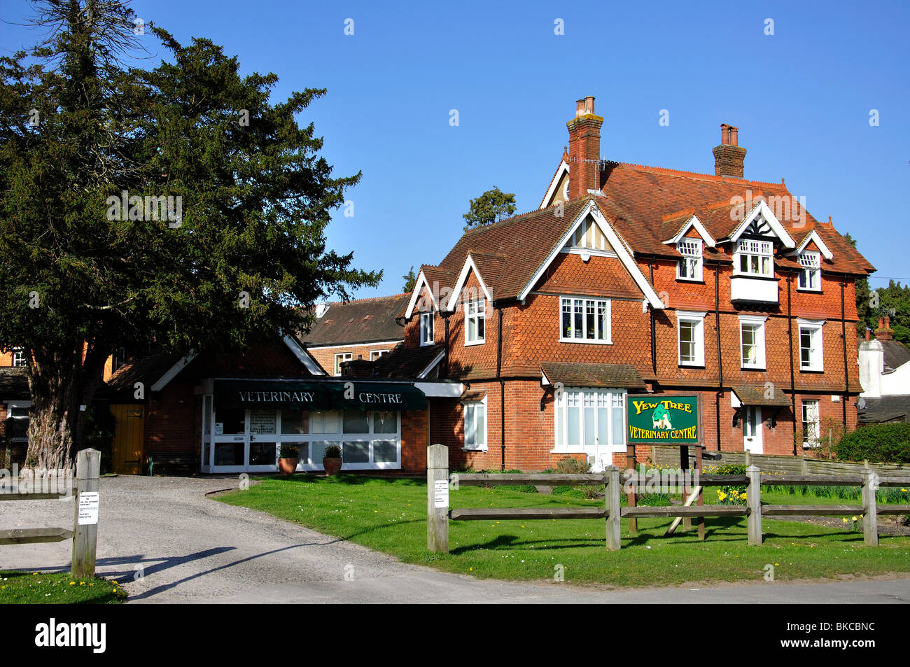 Yew Tree Veterinary Centre, Cranleigh, Surrey, England, United Kingdom Stock Photo