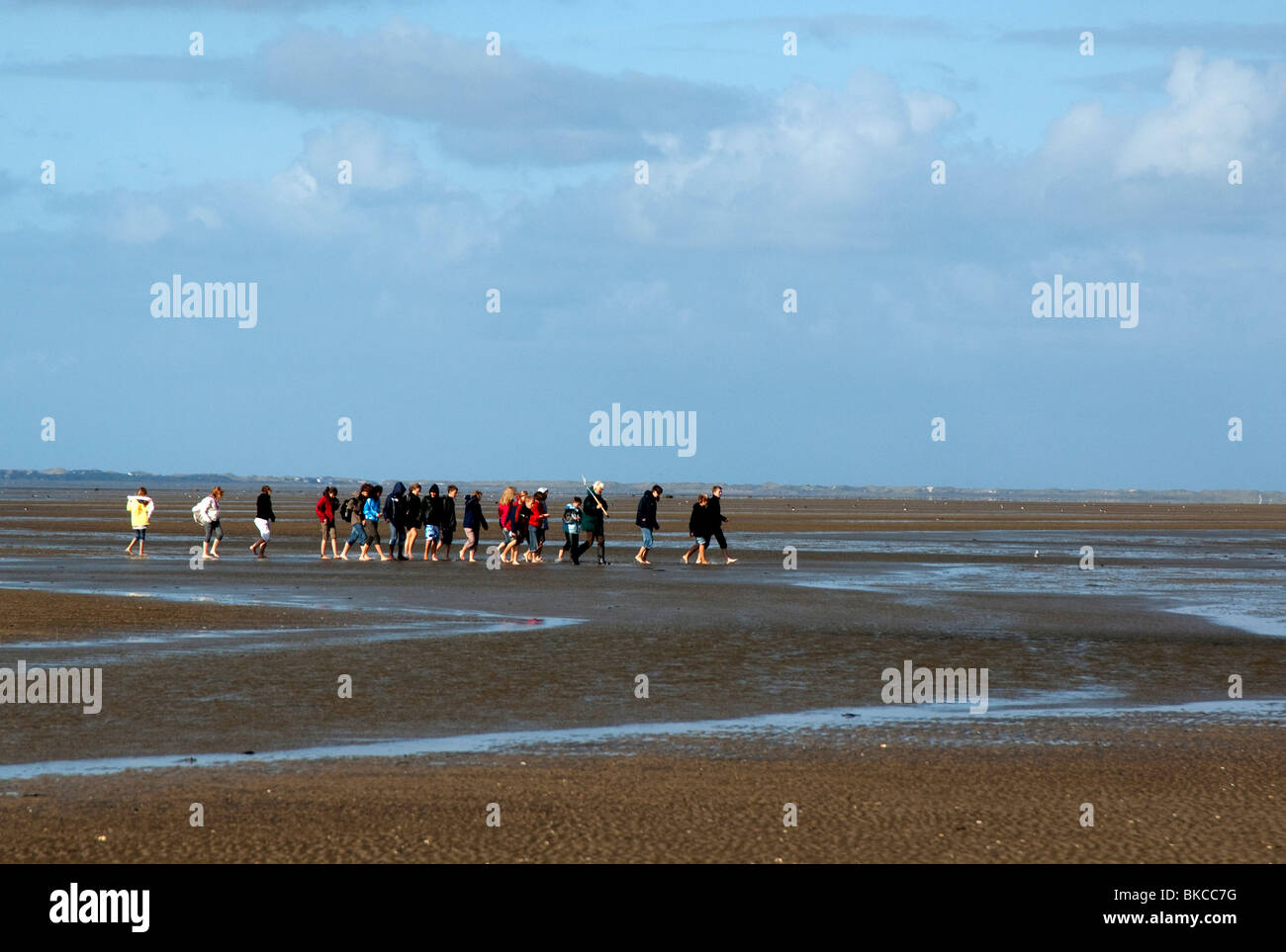 Tourists on mud flats of the Wadden Sea with guide giving biological information. Stock Photo
