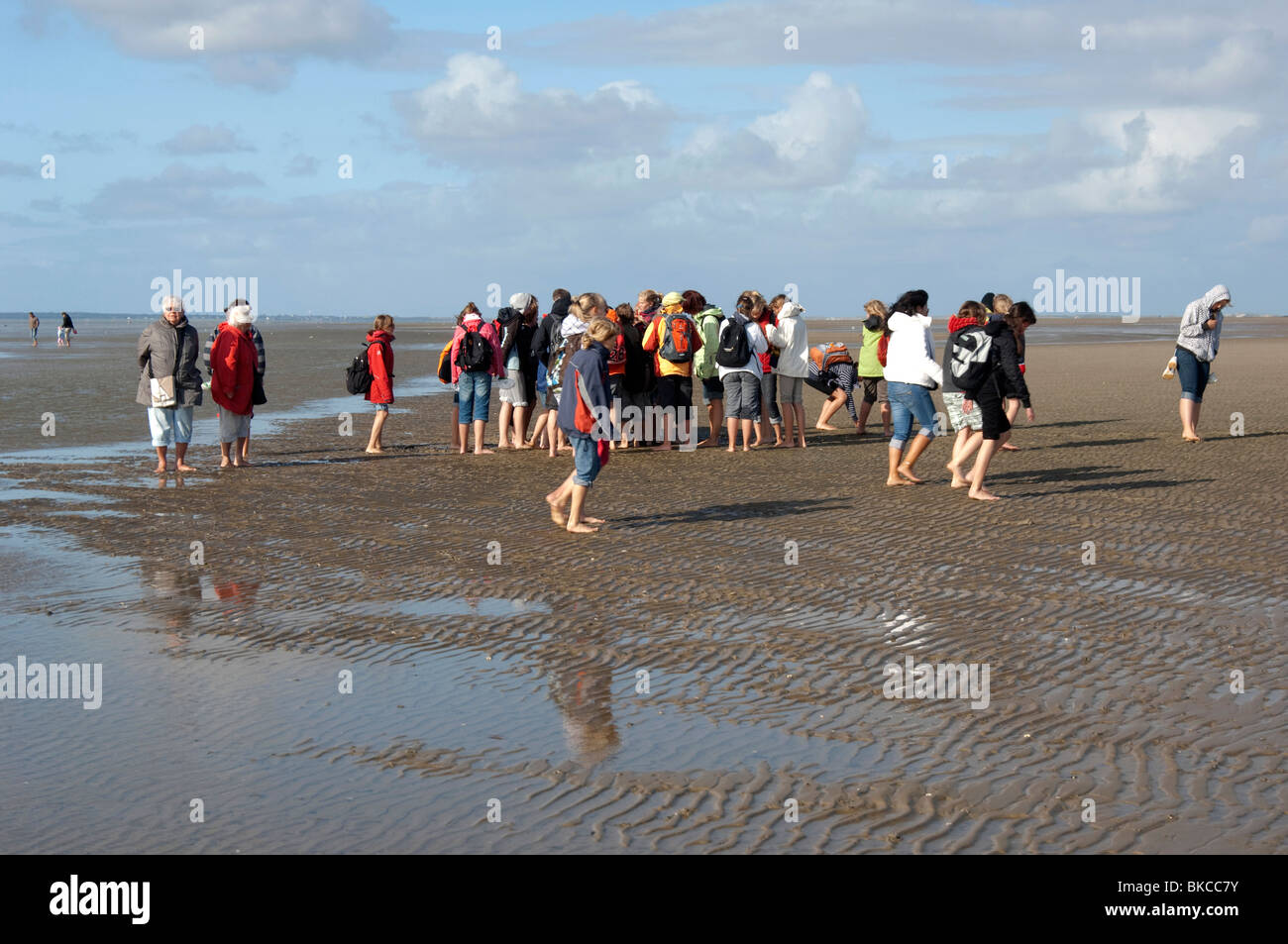 Tourists on mud flats of the Wadden Sea with guide giving biological information. Stock Photo