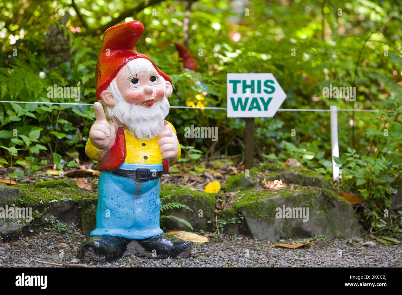 Gnome at the West Putnam gnome reserve in Devon UK Stock Photo