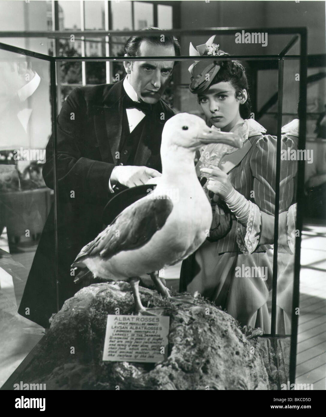 THE ADVENTURES OF SHERLOCK HOLMES (1939) BASIL RATHBONE AOSH 002P Stock Photo Alamy