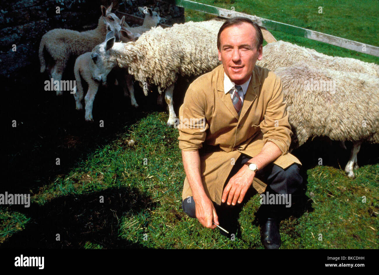 ALL CREATURES GREAT AND SMALL (TV) CHRISTOPHER TIMOTHY CREDIT BBC ALCR 002 Stock Photo