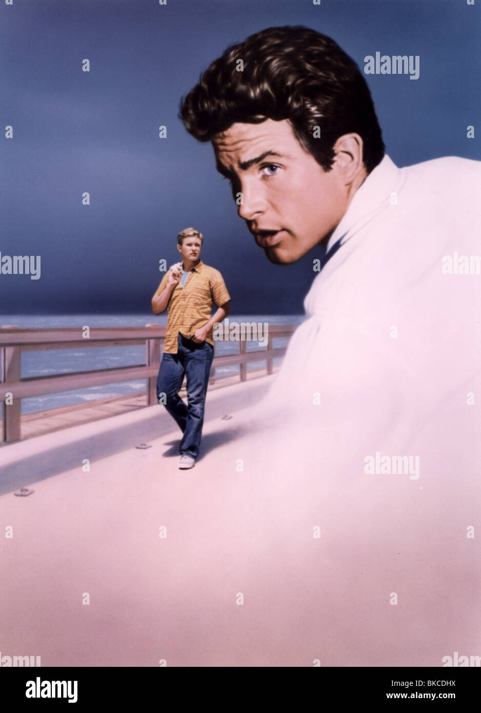 brandon de wilde warren beatty