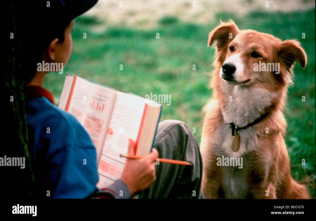 BINGO -1991 Stock Photo