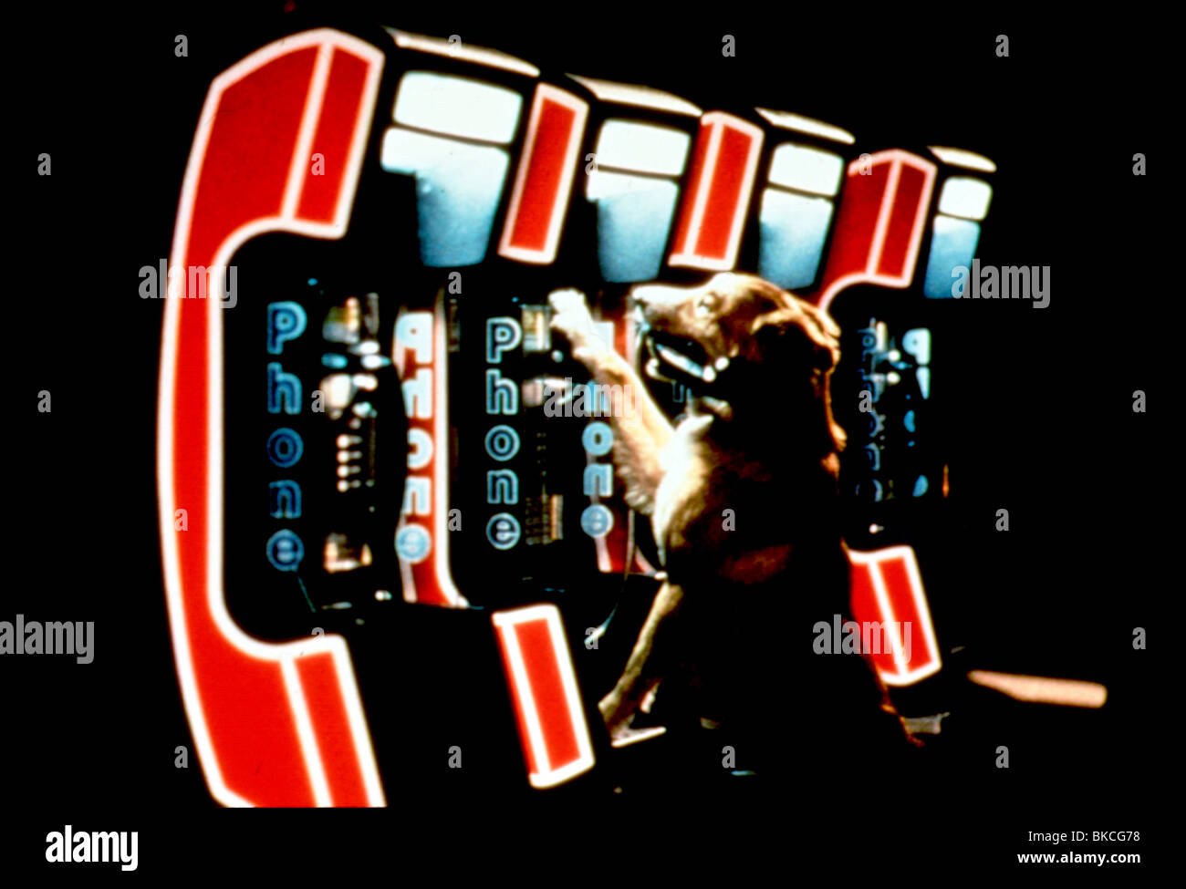 Bingo 1991 hi-res stock photography and images - Alamy