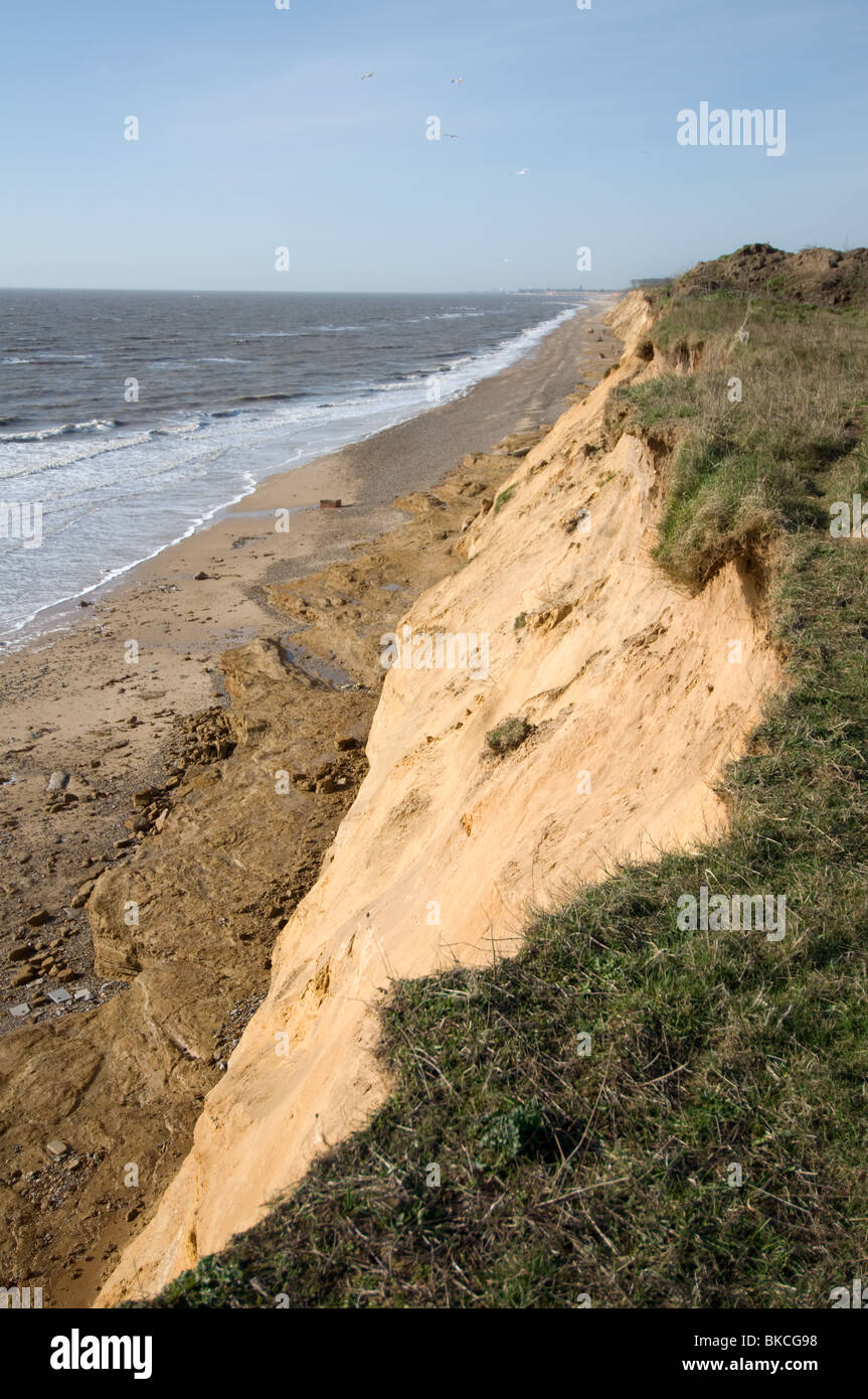Suffolk Cliffs Footpath and Coastal Erosion of Cliffs ar Covehithe Suffolk East Anglia ...