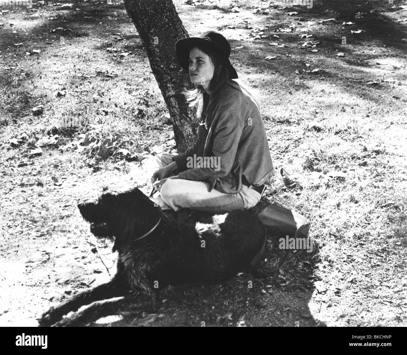 Breezy Black and White Stock Photos & Images Alamy