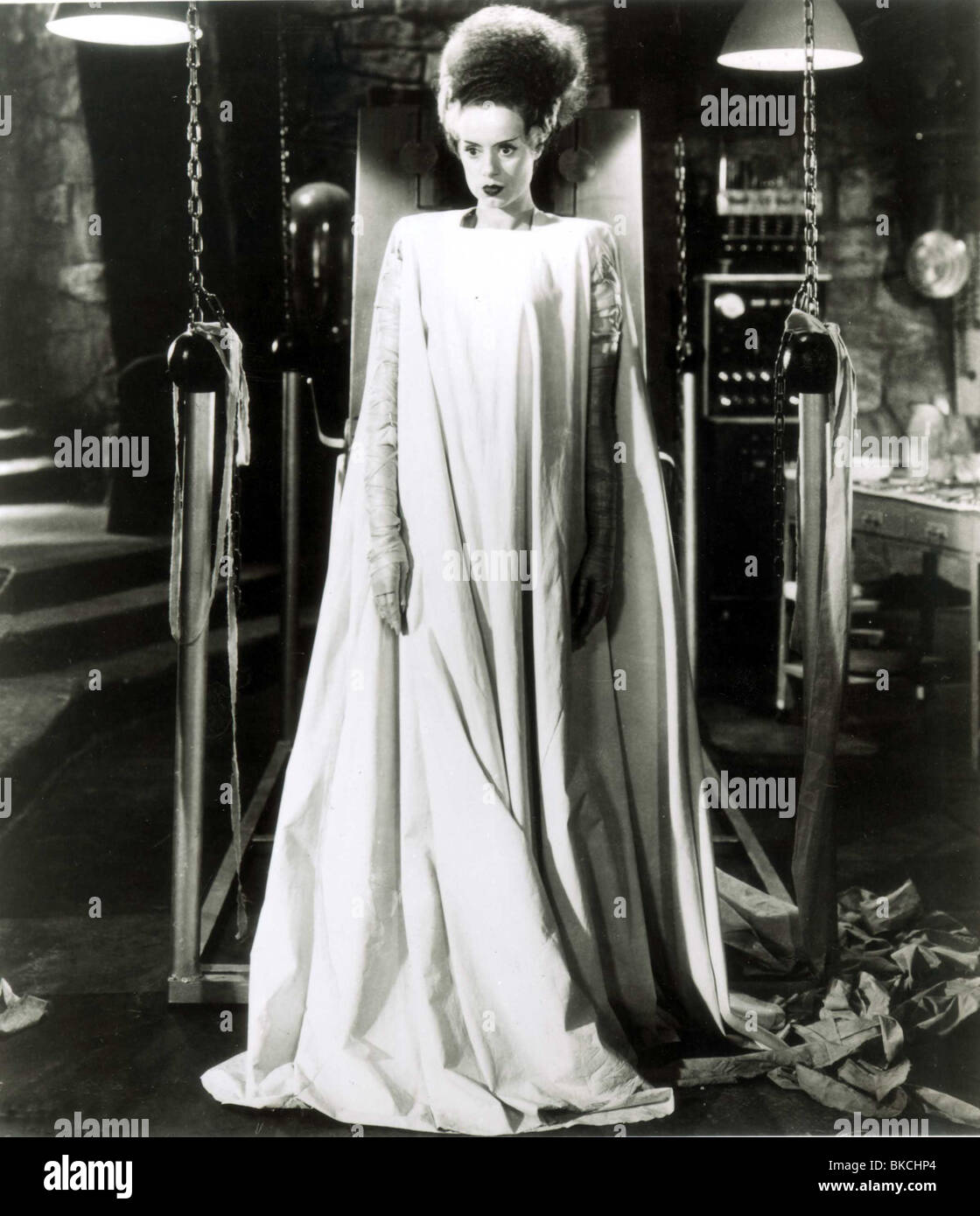 Bride of the monster essay