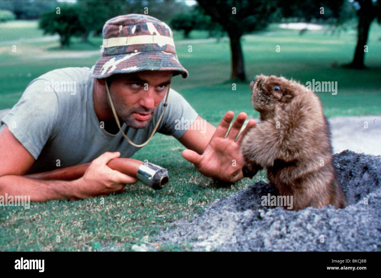 CADDYSHACK 1980 BILL MURRAY Stock Photo Alamy