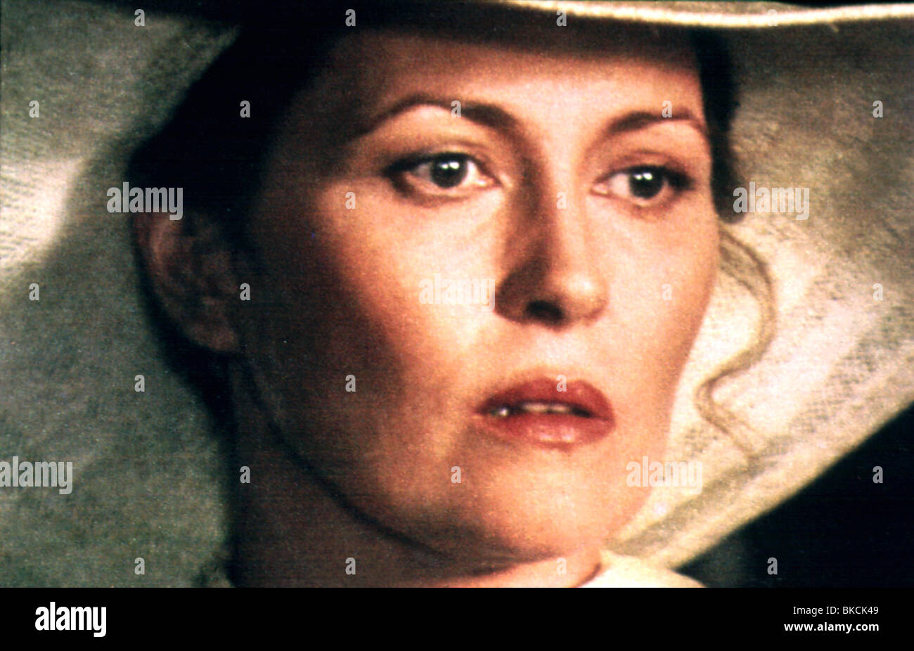 THE CHAMP 1979 FAYE DUNAWAY Stock Photo Alamy