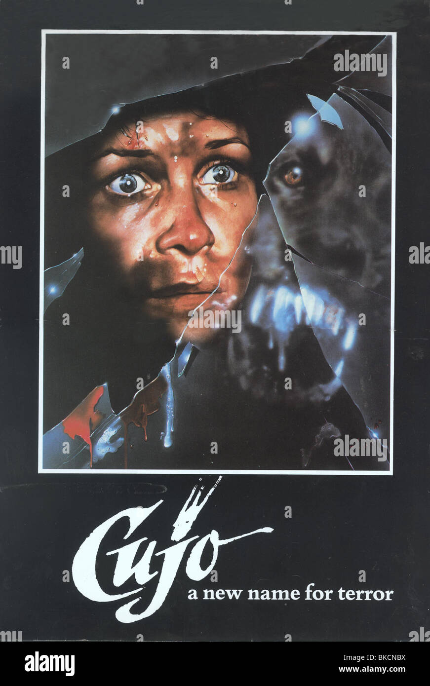 Cujo 1983 poster hi-res stock photography and images - Alamy