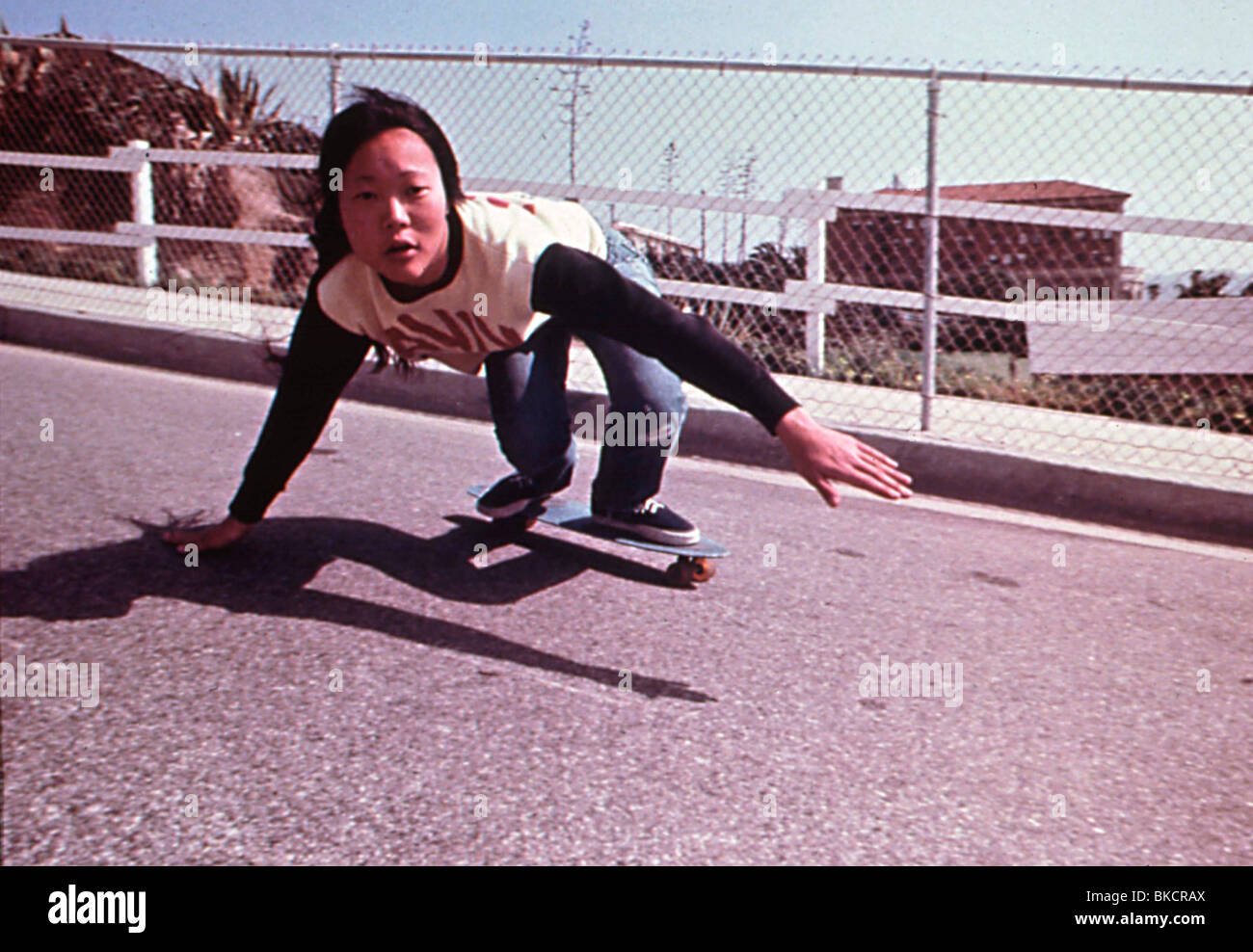 Dogtown And Z Boys 01 Peggy Oki Dazb 003 Stock Photo Alamy Dogtown And Z Boys 01 Peggy Oki Dazb 003 Stock Photo Alamy