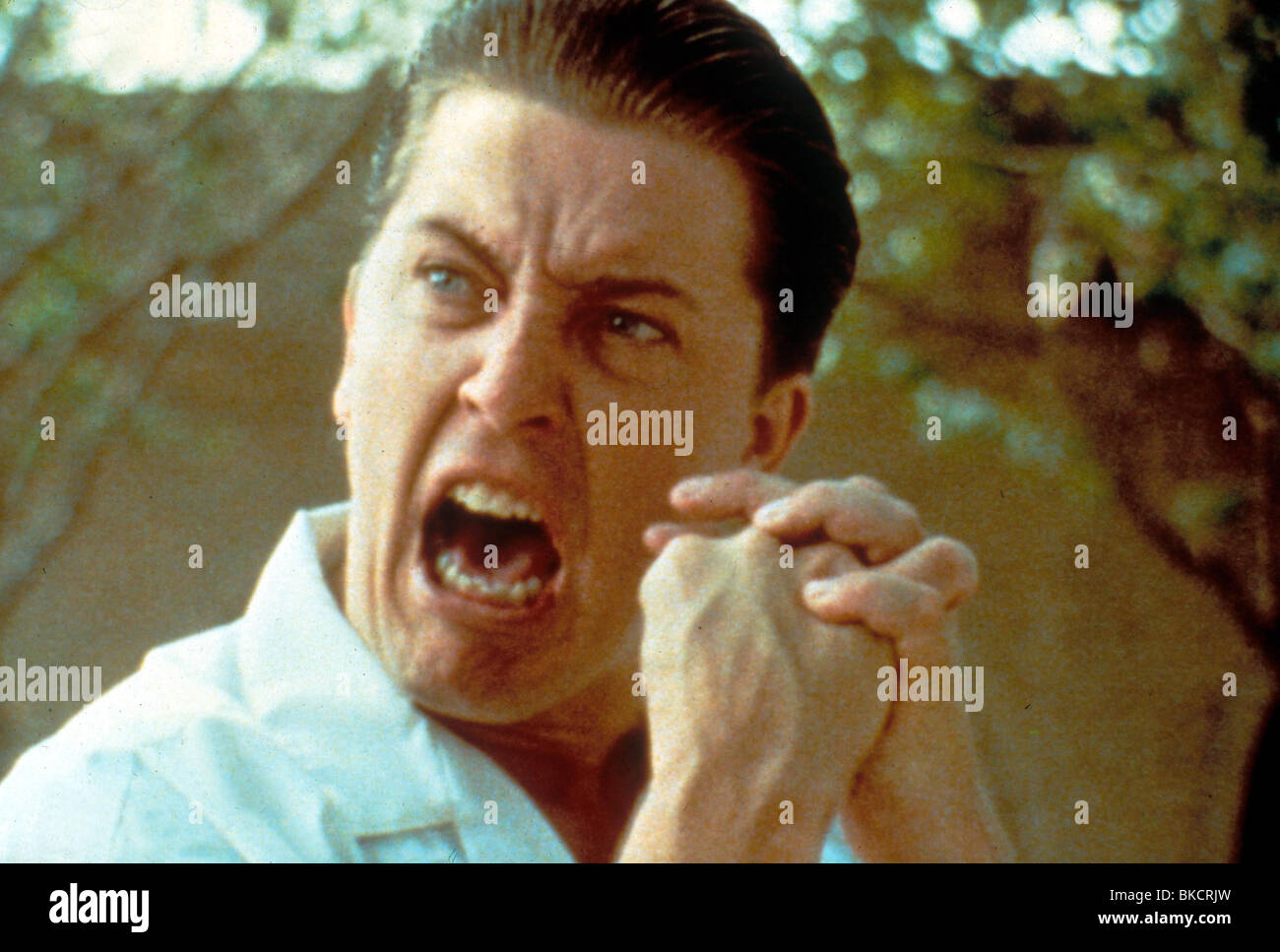 Get Consuelo Gomez El Mariachi Gif