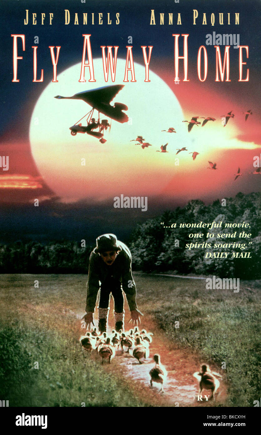 Fly away home movie hi-res stock photography and images - Alamy