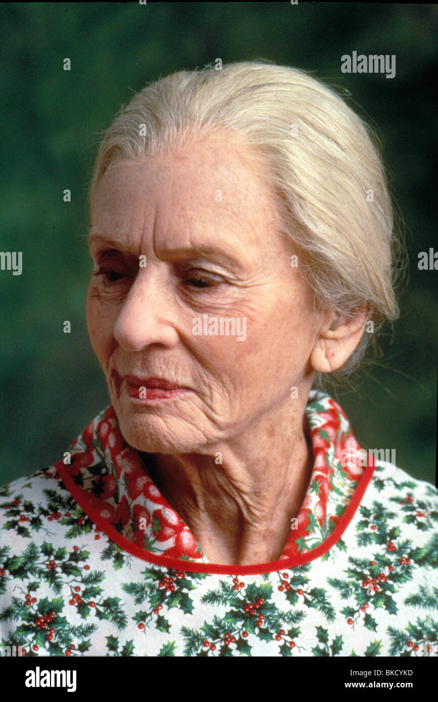 Jessica tandy fried green tomatoes hires stock photography and images