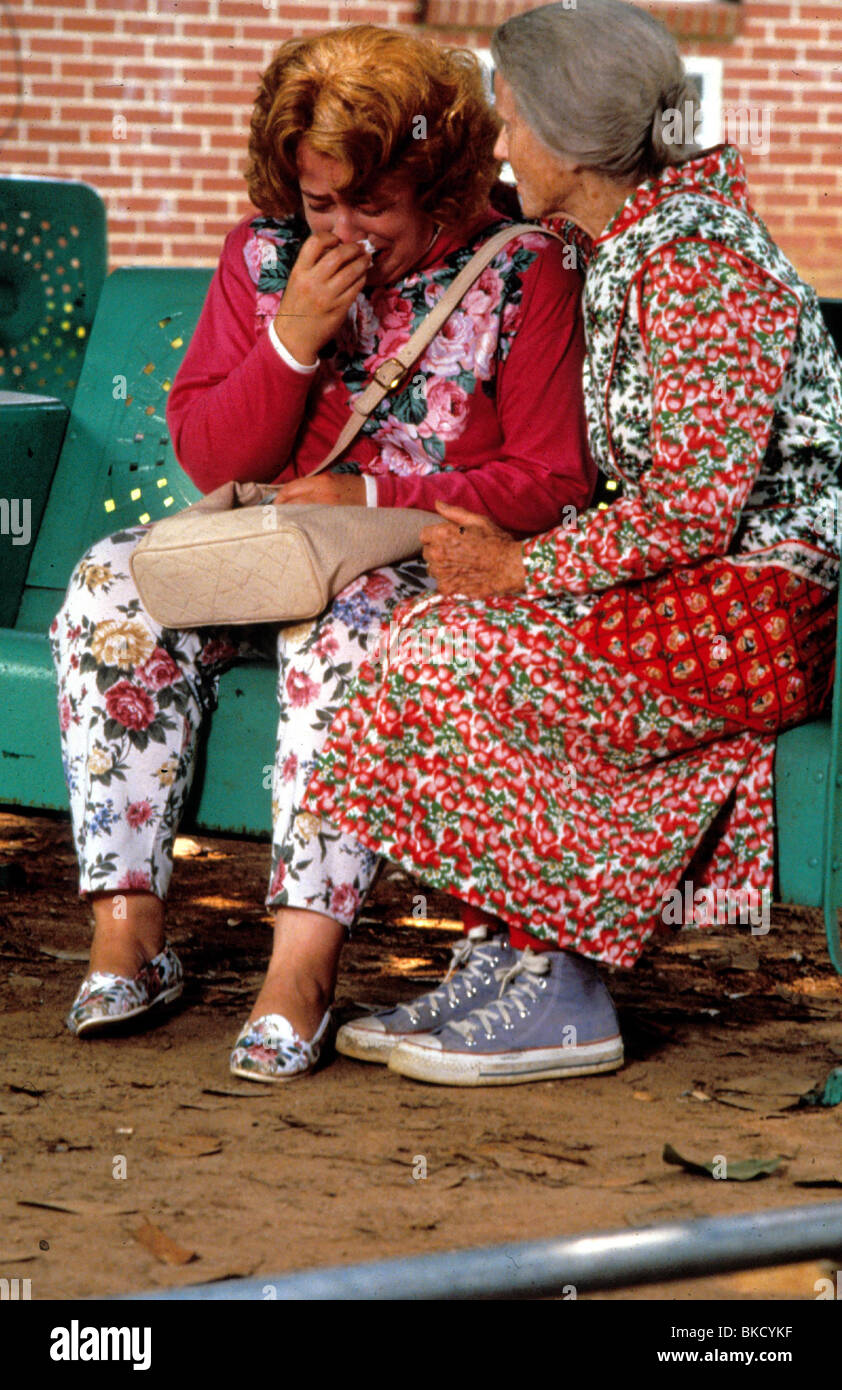 FRIED GREEN TOMATOES (1991) FRIED GREEN TOMATOES AT THE WHISTLE STOP
