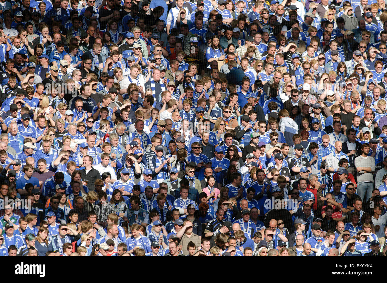 football fans crowd the stands in Schalke Arena, home of german football club Schalke 04 Stock Photo
