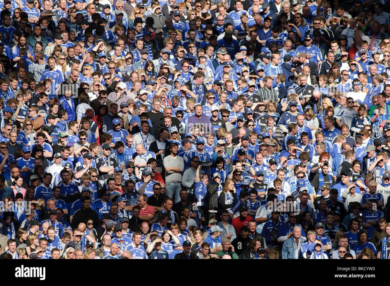 football fans crowd the stands in Schalke Arena, home of german football club Schalke 04 Stock Photo