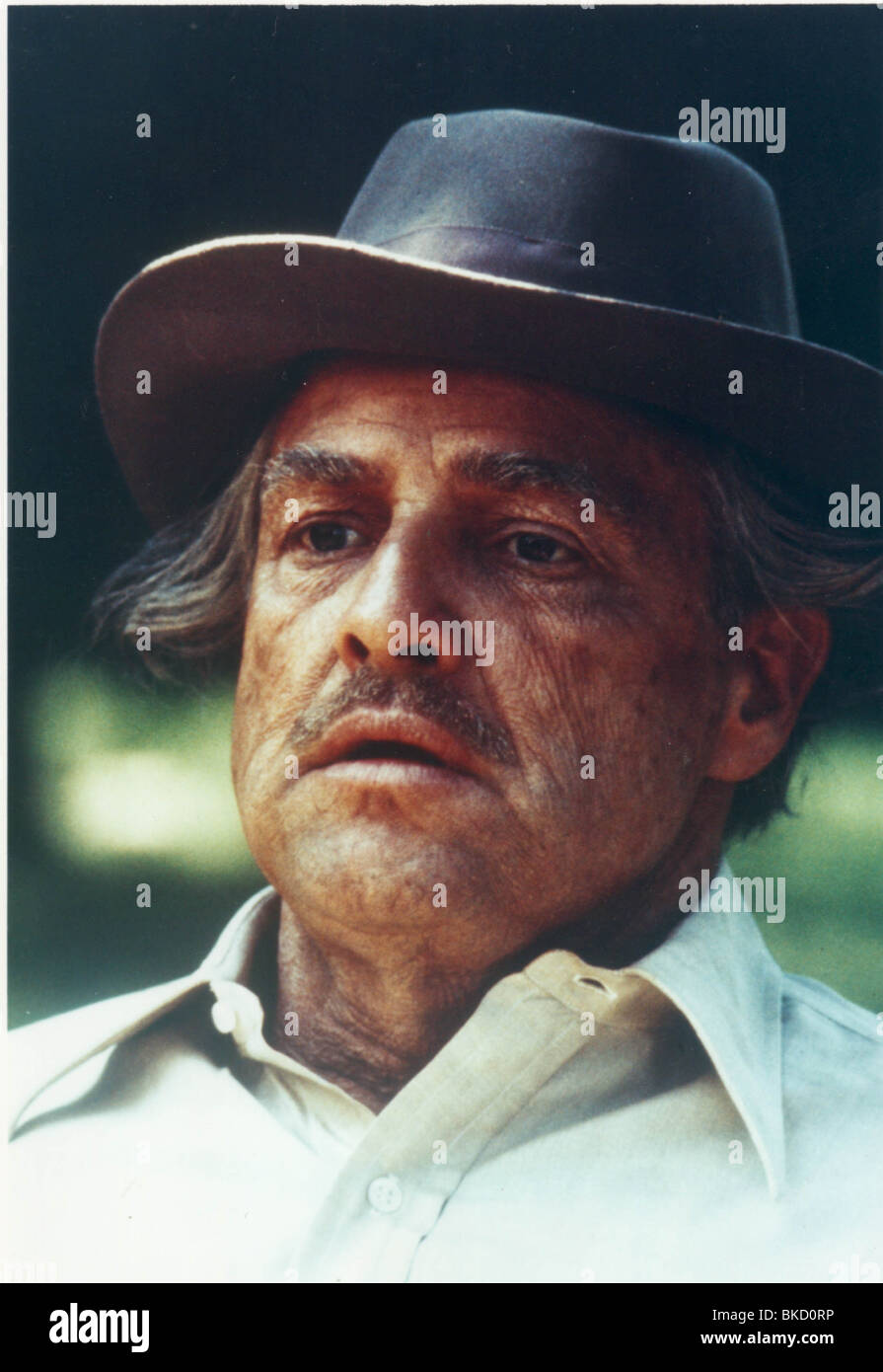 THE GODFATHER (1972) MARLON BRANDO GODF 012CP Stock Photo - Alamy