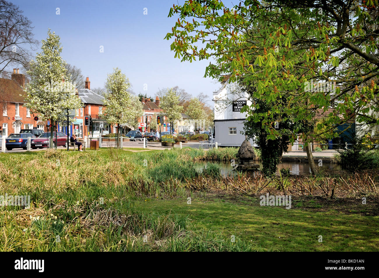 Hartley Wintney Village centre Stock Photo Alamy