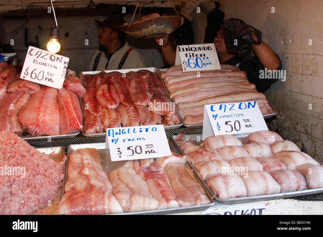 Common Fish In Mexico Freshly caught fish on sale at the famous daily fish market at Ensenada ...