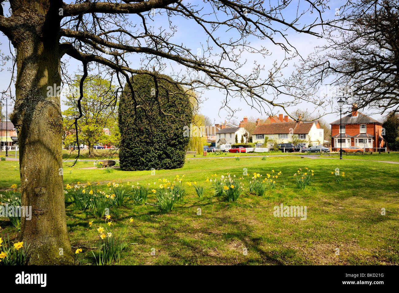 Hartley Wintney Village centre Stock Photo Alamy