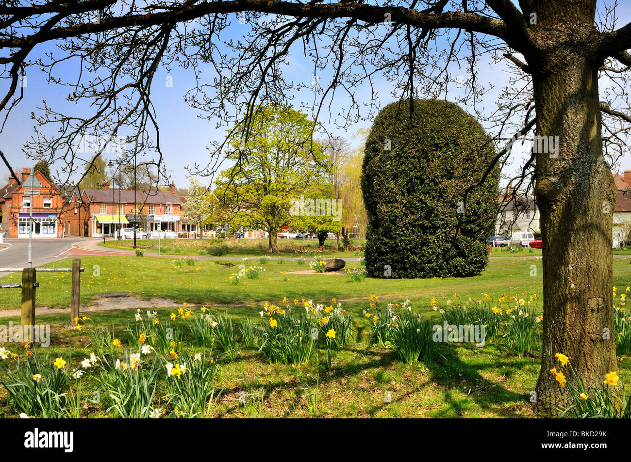 Hartley Wintney Village centre Stock Photo Alamy