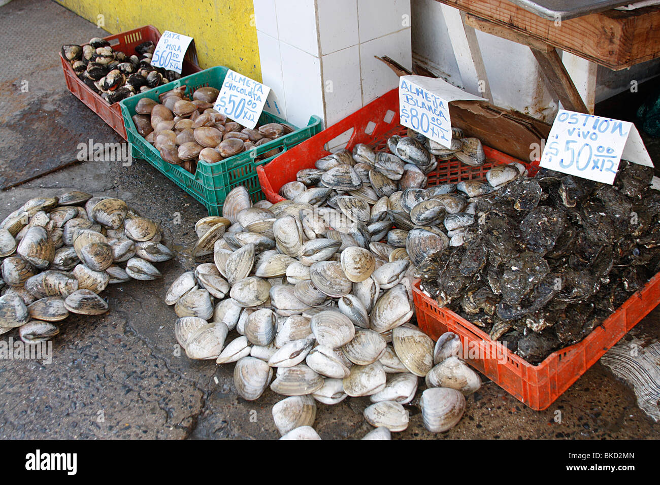 Freshly caught shellfish on sale at the famous daily fish market