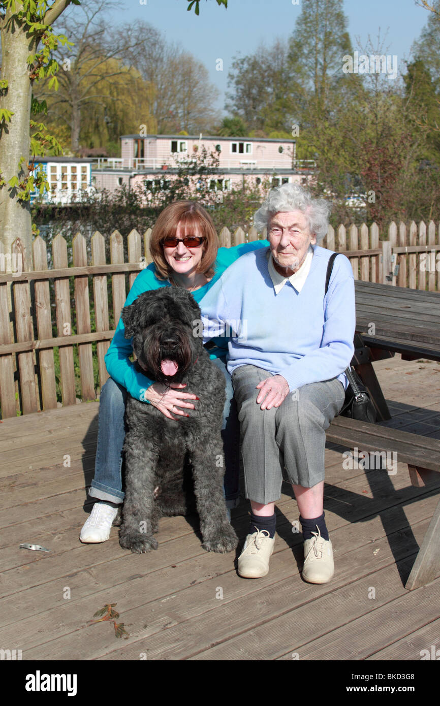 Bouvier des Flandres dog with middle aged woman and older lady sitting at table by the River Thames at East Molesey Cricket Club Stock Photo