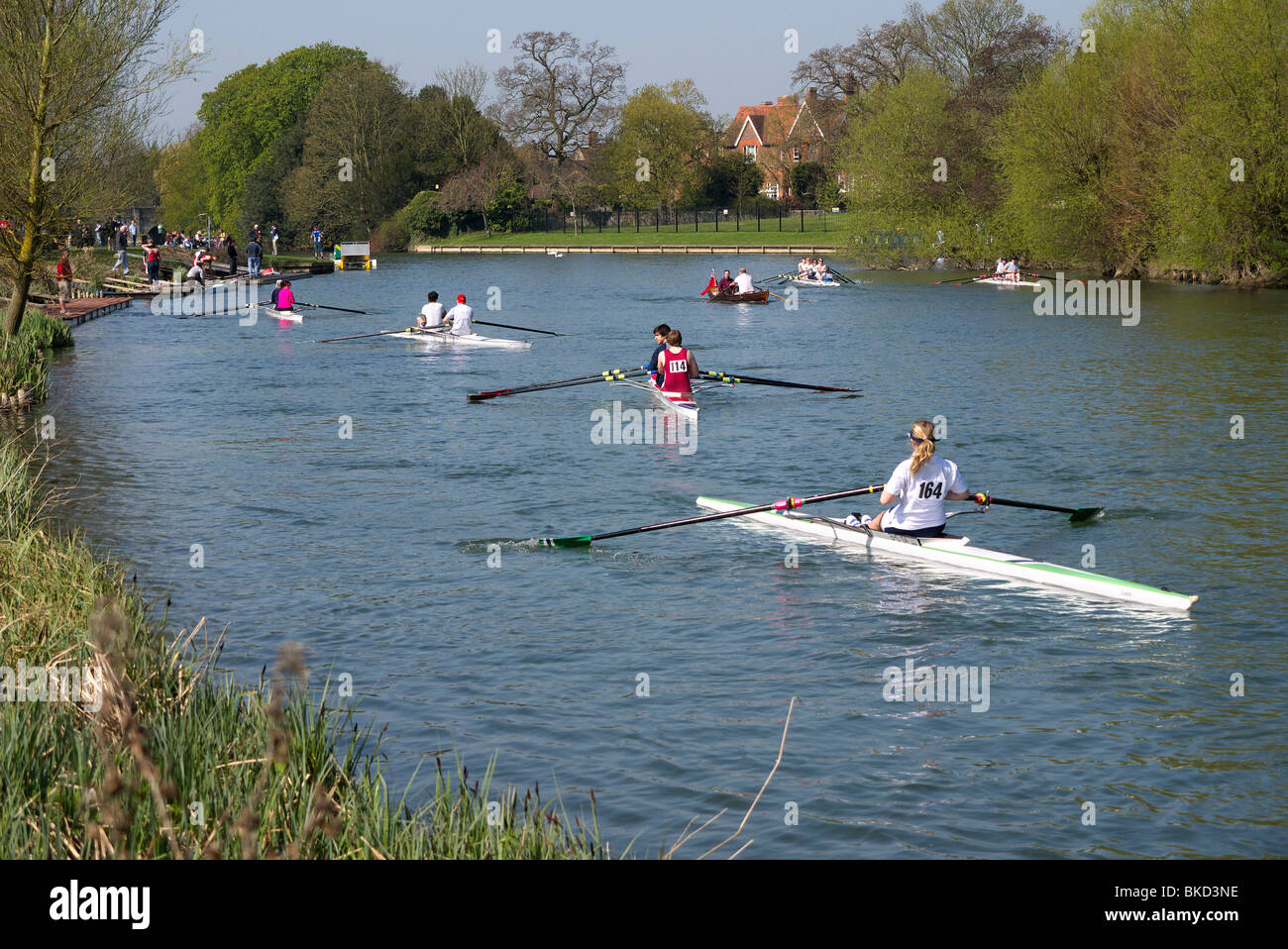 Rowing regatta on the Thames at Abingdon Stock Photo