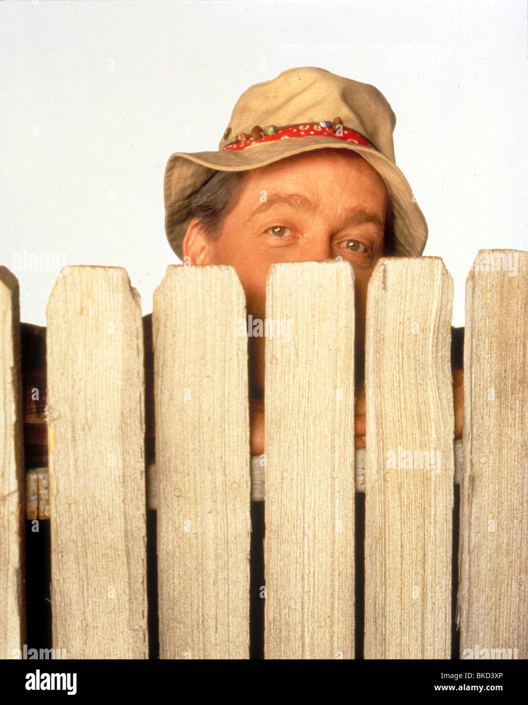 HOME IMPROVEMENT (TV) EARL HINDMAN HIMP 007 Stock Photo