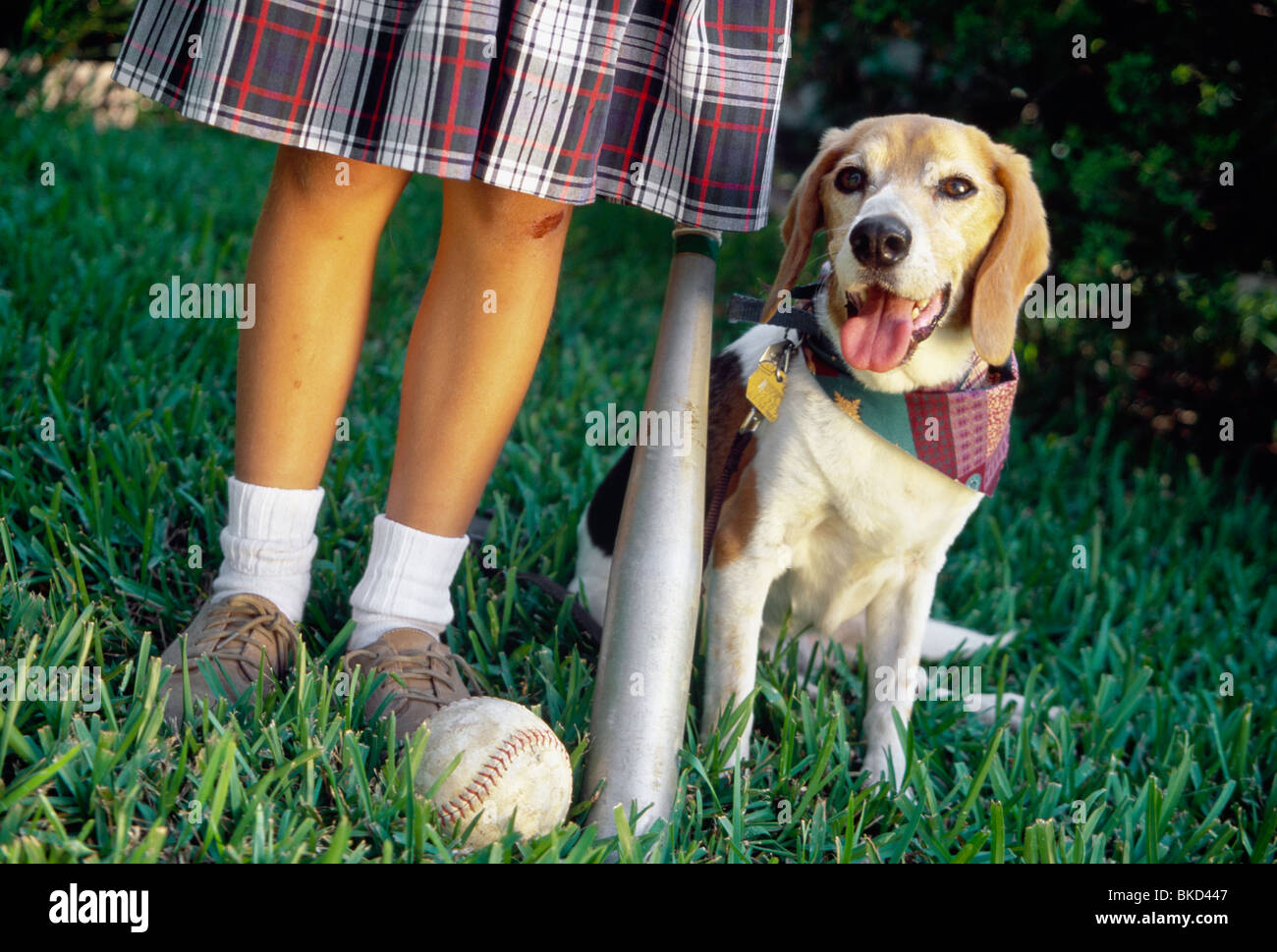 Young Girl Softball Player and Pet Dog Stock Photo