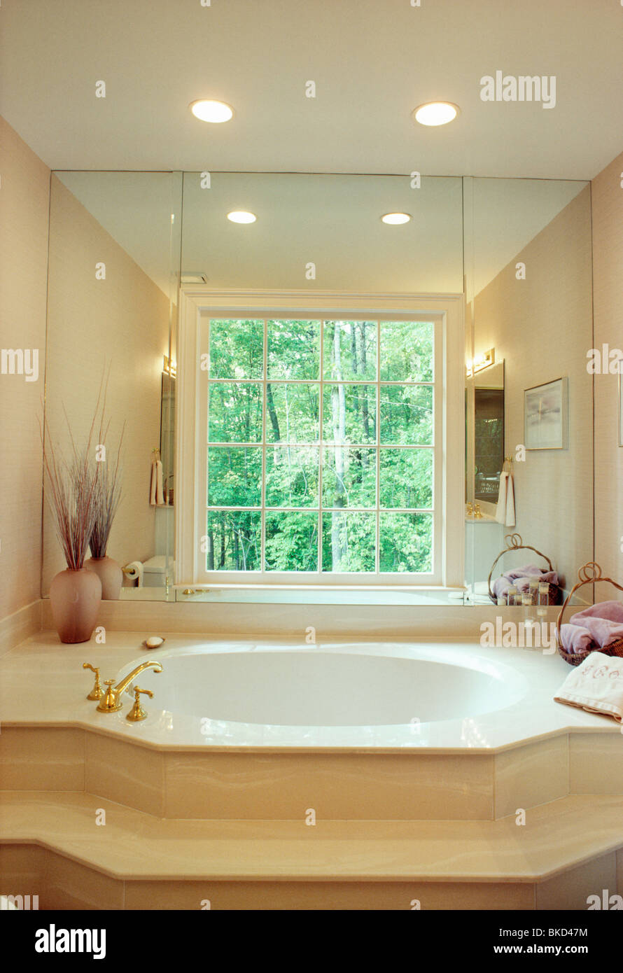 Designer Bathroom Interior Stock Photo
