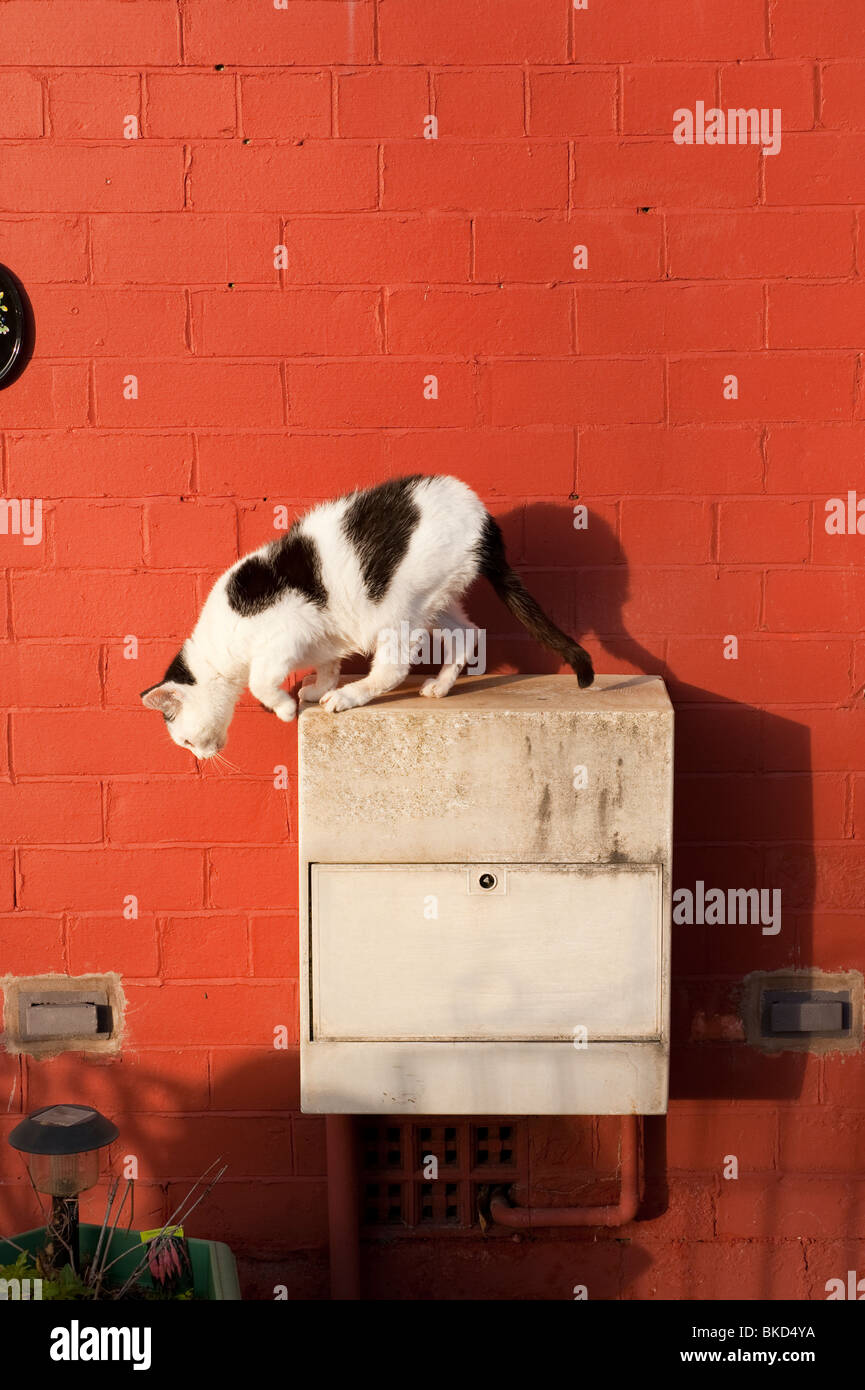 Meter cupboard hires stock photography and images Alamy