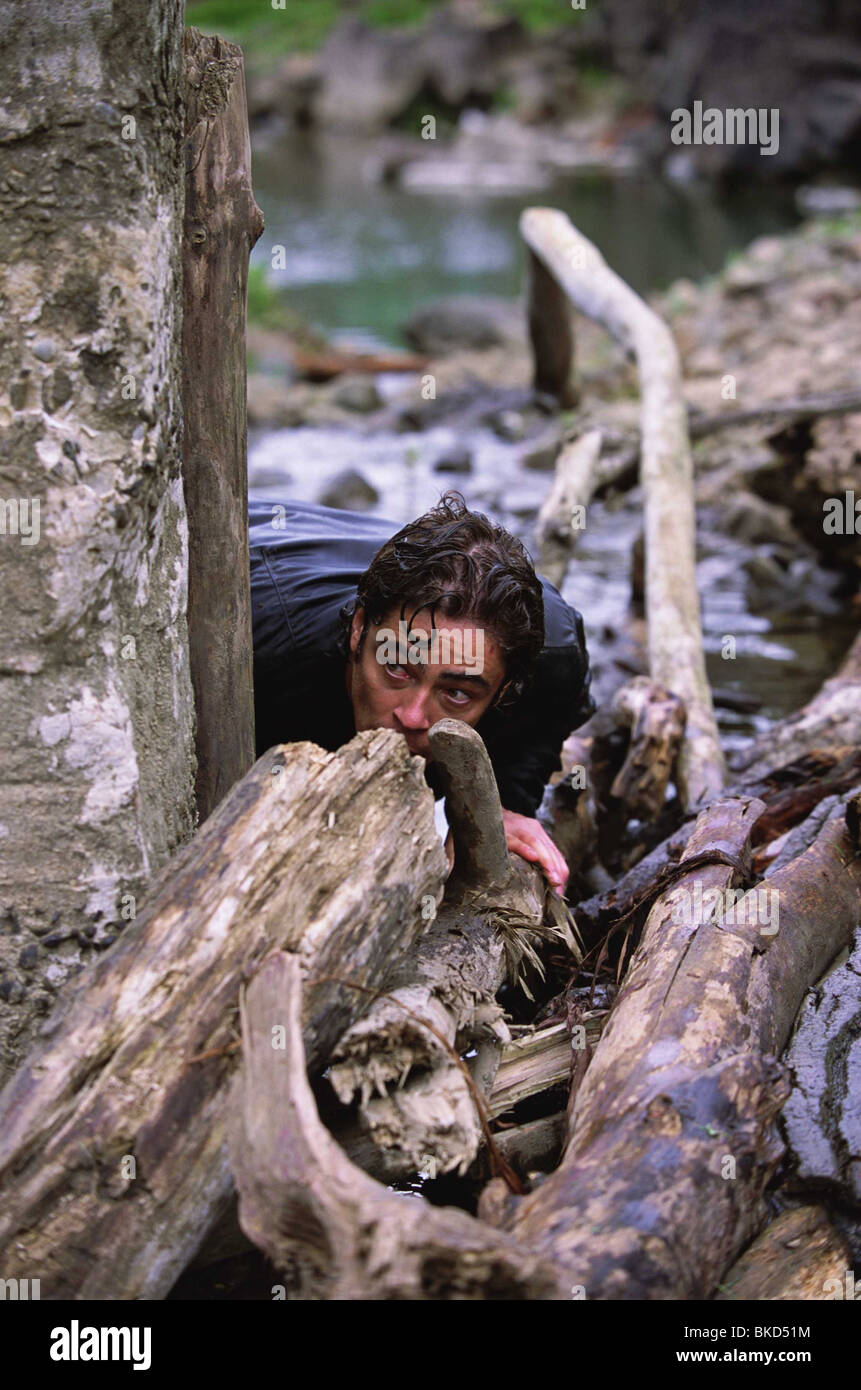 THE HUNTED (2003) BENICIO DEL TORO HNTE 001-4977 Stock Photo