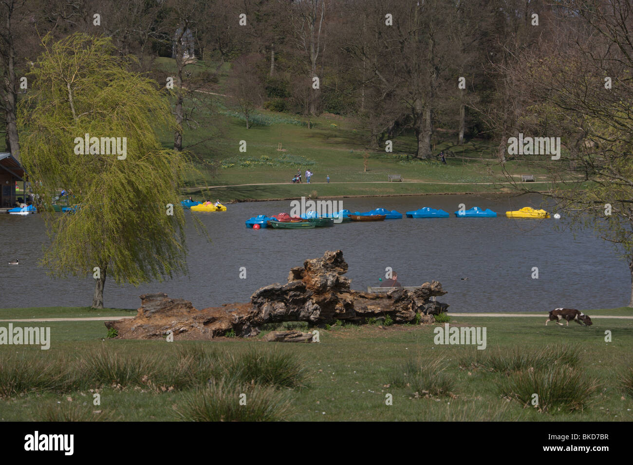 Dunorlan Park 2009 Stock Photo Alamy