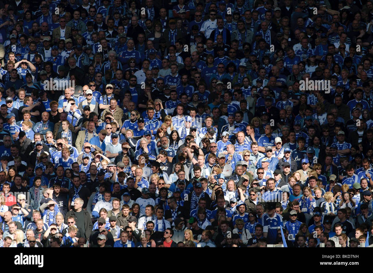 football fans crowd the stands in Schalke Arena, home of german ...