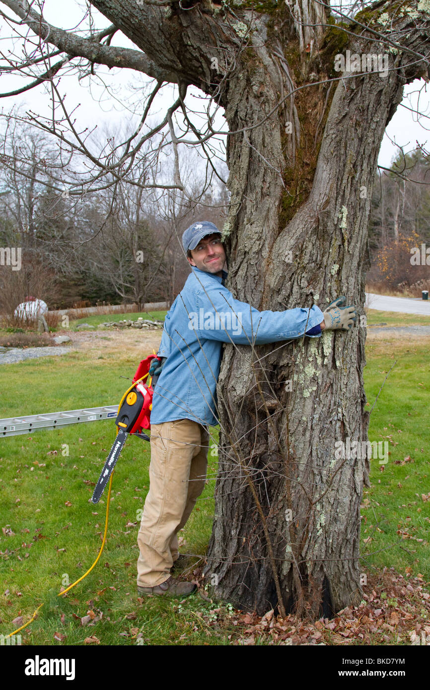 Humorous man hugs tree while hiding chainsaw behind his back Stock Photo