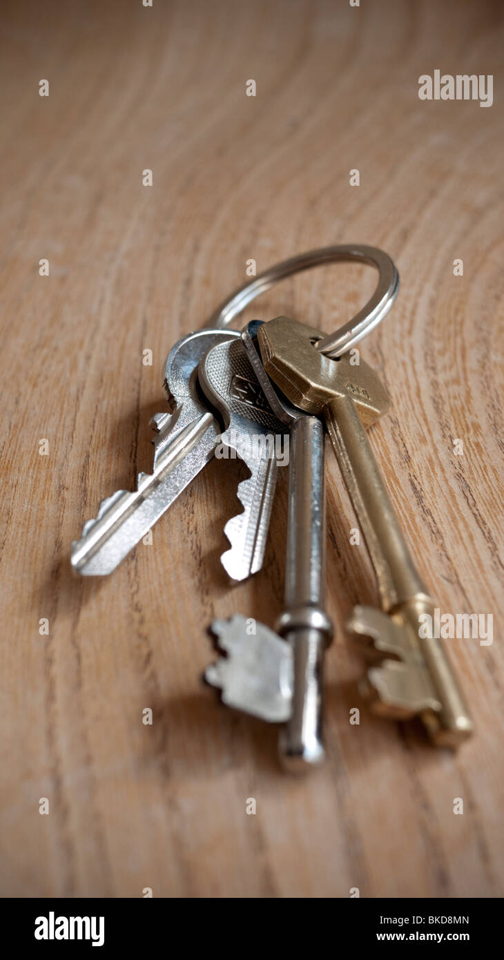 Bunch of house keys on a keyring Stock Photo