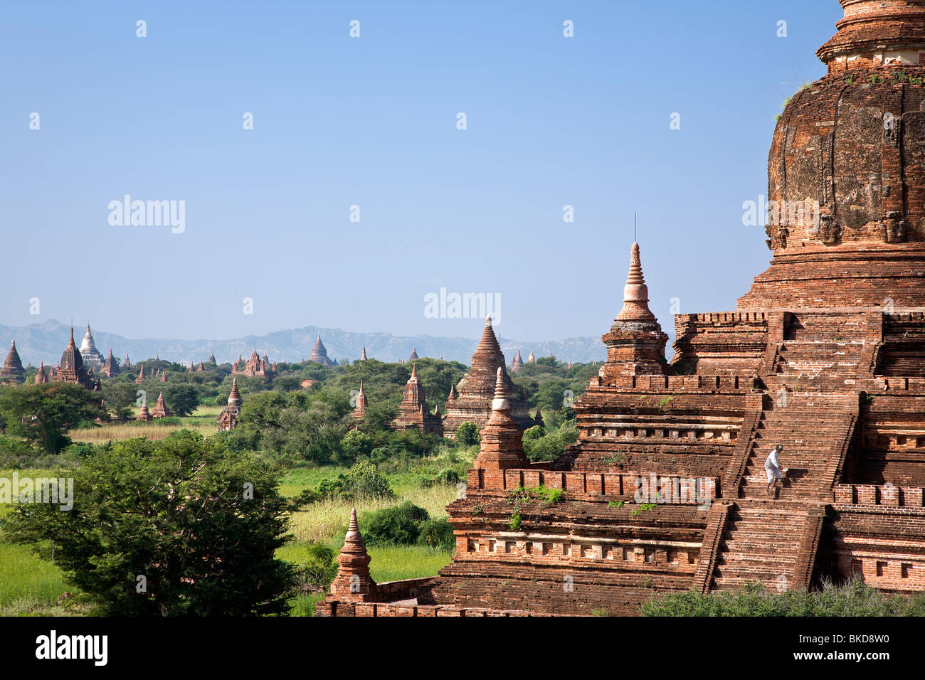Bagan temples. Buledi group. Myanmar Stock Photo