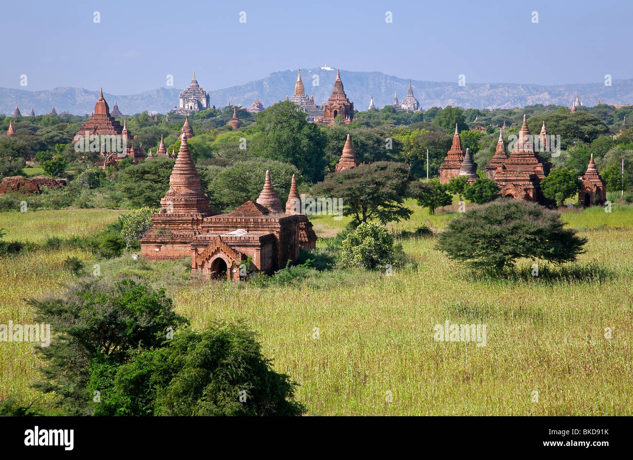 Bagan temples. Myanmar Stock Photo