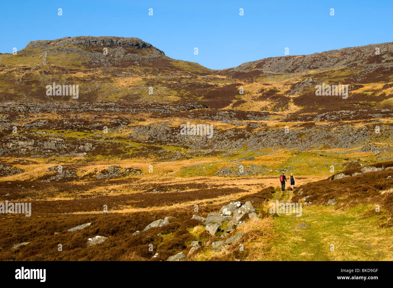 Foel Renolau in the north of the Rhinog Mountains, Snowdonia, North Wales, UK Stock Photo