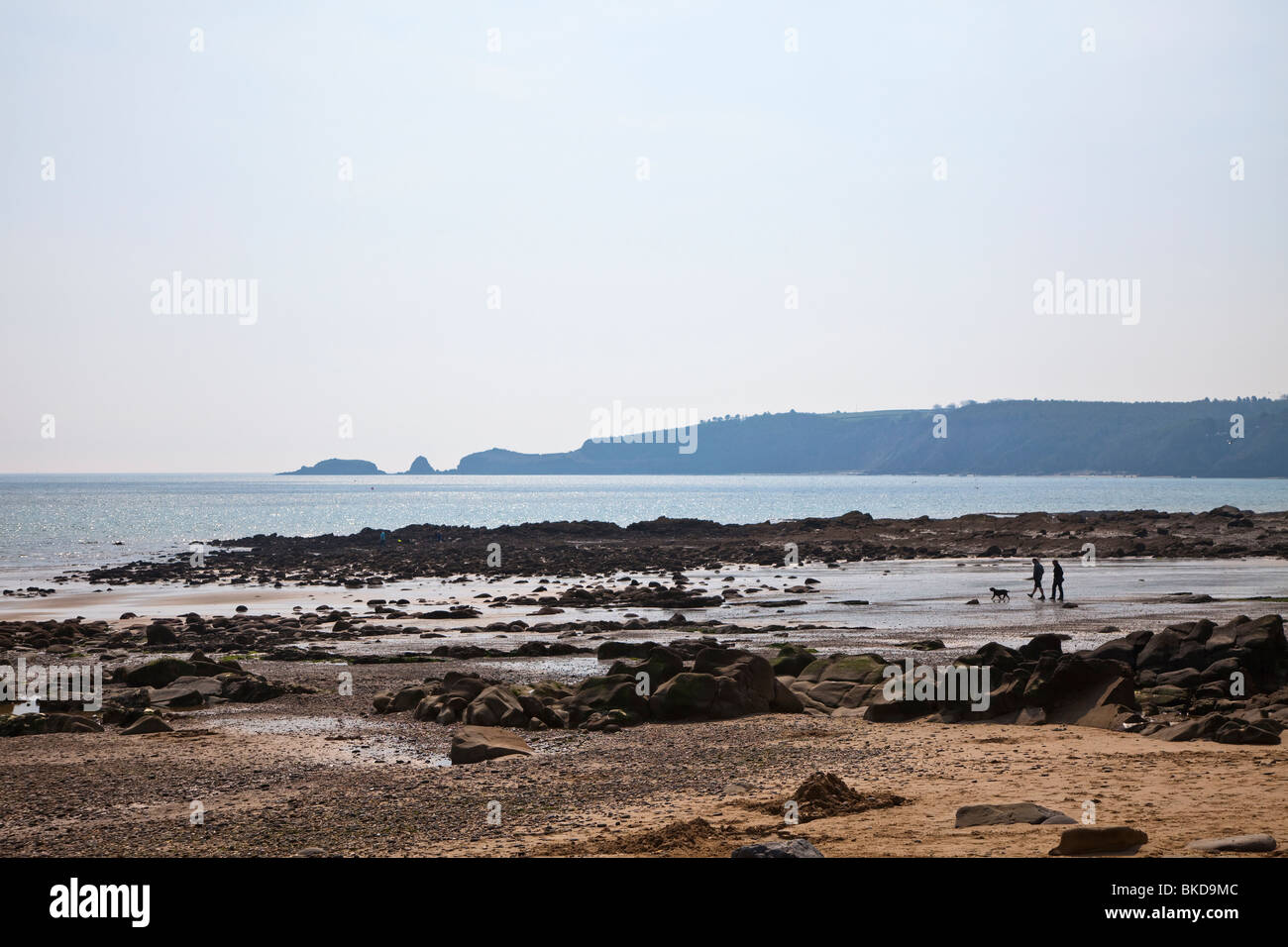 Two people walking a dig on beach at Wiseman's Bridge Pembrokeshire Wales UK Stock Photo