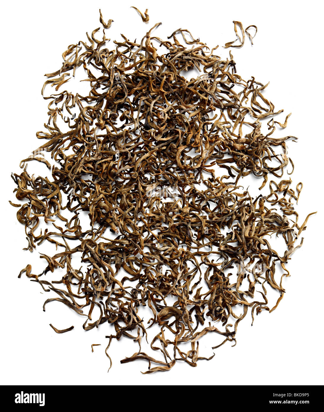 Sri Lanka pekoe tea leaf Stock Photo