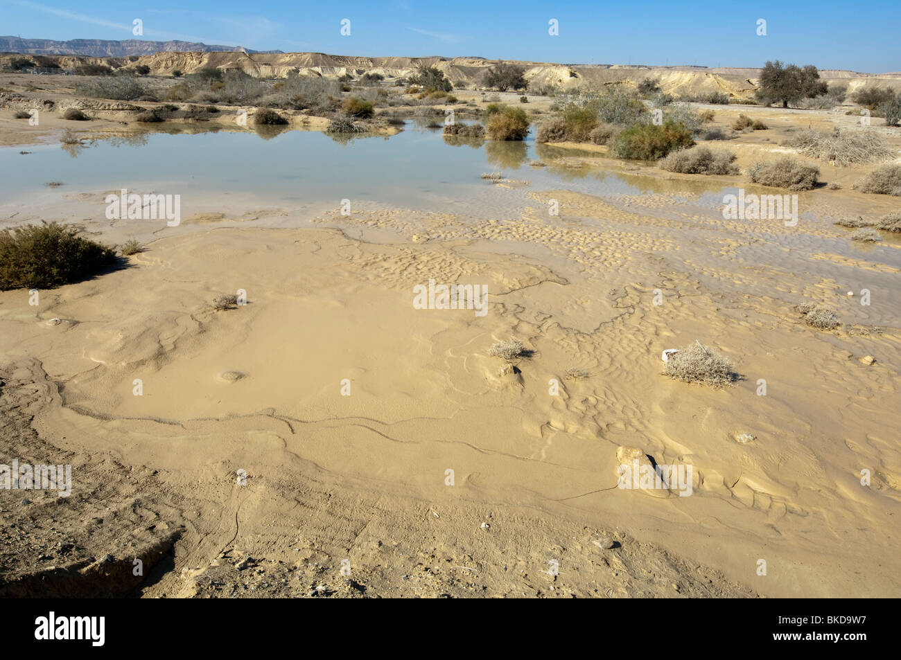 Winter Ponds after Heavy Rain in Eilat Mountains Israel Stock Photo