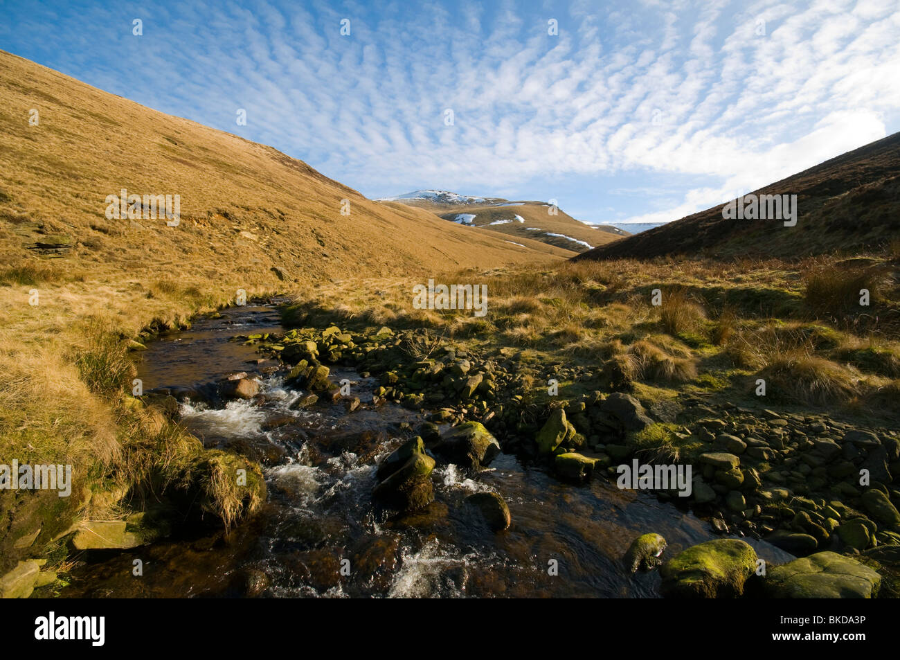 Bleaklow hill from Shelf Brook, near Glossop, Peak District, Derbyshire, England, UK Stock Photo