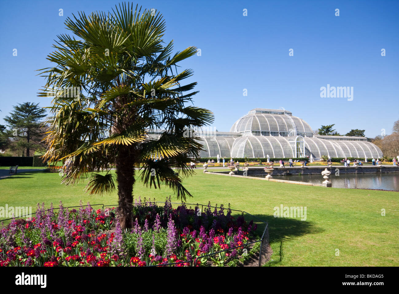 The Palm House at Kew Gardens Stock Photo